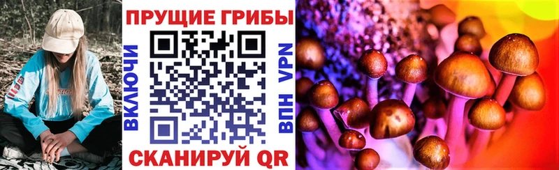 купить  сайты  Тихвин  Галлюциногенные грибы Magic Shrooms 